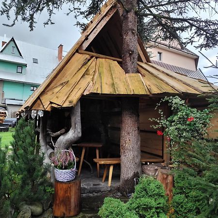 Pokoje Malgorzatka 扎科帕内 外观 照片